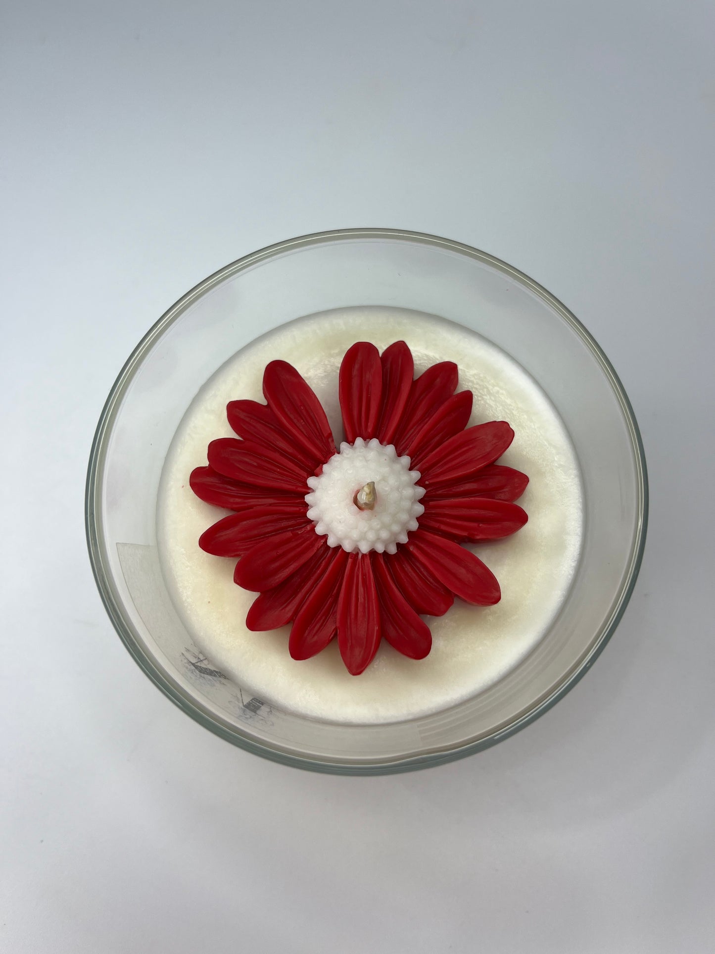 Bougie Marguerite - Cerise noire explosive